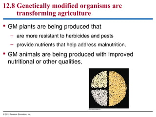 12.8 Genetically modified organisms are
transforming agriculture
 GM plants are being produced that
– are more resistant to herbicides and pests
– provide nutrients that help address malnutrition.

 GM animals are being produced with improved
nutritional or other qualities.

© 2012 Pearson Education, Inc.

 
