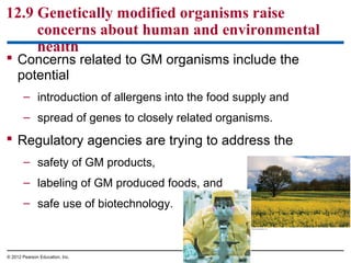 12.9 Genetically modified organisms raise
concerns about human and environmental
health
 Concerns related to GM organisms include the
potential
– introduction of allergens into the food supply and
– spread of genes to closely related organisms.

 Regulatory agencies are trying to address the
– safety of GM products,
– labeling of GM produced foods, and
– safe use of biotechnology.

© 2012 Pearson Education, Inc.

 