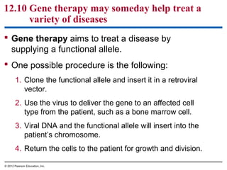 12.10 Gene therapy may someday help treat a
variety of diseases
 Gene therapy aims to treat a disease by
supplying a functional allele.
 One possible procedure is the following:
1. Clone the functional allele and insert it in a retroviral
vector.
2. Use the virus to deliver the gene to an affected cell
type from the patient, such as a bone marrow cell.
3. Viral DNA and the functional allele will insert into the
patient’s chromosome.
4. Return the cells to the patient for growth and division.
© 2012 Pearson Education, Inc.

 