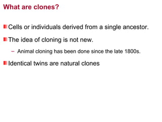 What are clones?
Cells or individuals derived from a single ancestor.
The idea of cloning is not new.
– Animal cloning has been done since the late 1800s.

Identical twins are natural clones

 