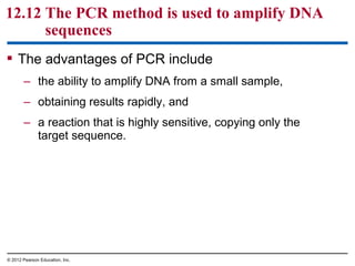 12.12 The PCR method is used to amplify DNA
sequences
 The advantages of PCR include
– the ability to amplify DNA from a small sample,
– obtaining results rapidly, and
– a reaction that is highly sensitive, copying only the
target sequence.

© 2012 Pearson Education, Inc.

 