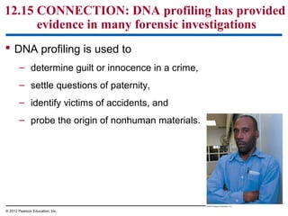 12.15 CONNECTION: DNA profiling has provided
evidence in many forensic investigations
 DNA profiling is used to
– determine guilt or innocence in a crime,
– settle questions of paternity,
– identify victims of accidents, and
– probe the origin of nonhuman materials.

© 2012 Pearson Education, Inc.

 