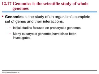 12.17 Genomics is the scientific study of whole
genomes
 Genomics is the study of an organism’s complete
set of genes and their interactions.
– Initial studies focused on prokaryotic genomes.
– Many eukaryotic genomes have since been
investigated.

© 2012 Pearson Education, Inc.

 