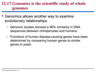 12.17 Genomics is the scientific study of whole
genomes
 Genomics allows another way to examine
evolutionary relationships.
– Genomic studies showed a 96% similarity in DNA
sequences between chimpanzees and humans.
– Functions of human disease-causing genes have been
determined by comparing human genes to similar
genes in yeast.

© 2012 Pearson Education, Inc.

 