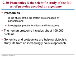 12.20 Proteomics is the scientific study of the full
set of proteins encoded by a genome
 Proteomics
– is the study of the full protein sets encoded by
genomes and
– investigates protein functions and interactions.

 The human proteome includes about 100,000
proteins.
 Genomics and proteomics are helping biologists
study life from an increasingly holistic approach.

© 2012 Pearson Education, Inc.

 