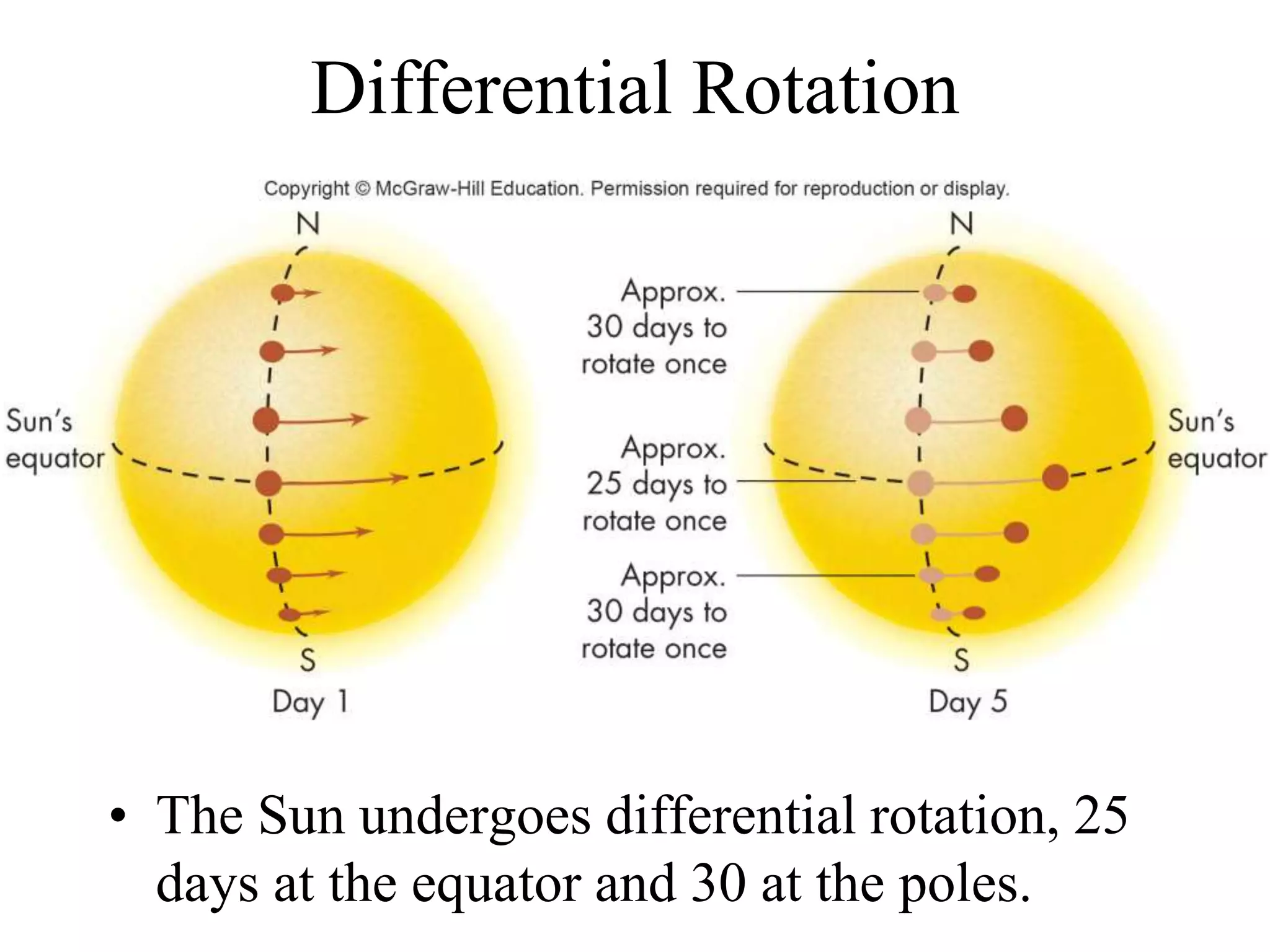 Differential Rotation
• The Sun undergoes differential rotation, 25
days at the equator and 30 at the poles.
 