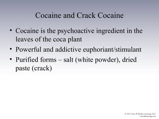 Cocaine and Crack Cocaine
• Cocaine is the psychoactive ingredient in the
  leaves of the coca plant
• Powerful and addictive euphoriant/stimulant
• Purified forms – salt (white powder), dried
  paste (crack)
 
