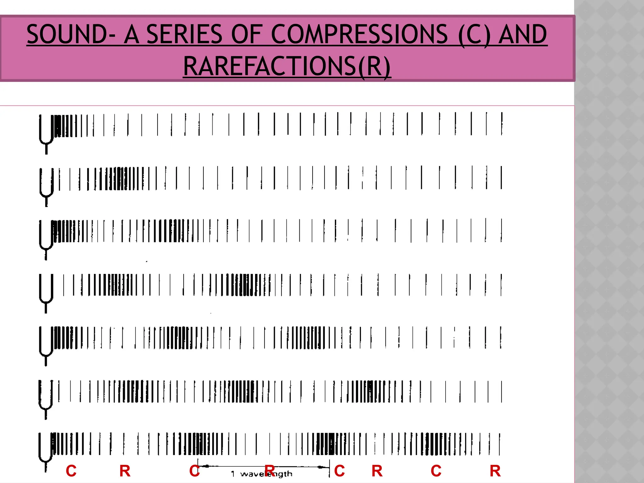 SOUND- A SERIES OF COMPRESSIONS (C) AND
RAREFACTIONS(R)
C C C C
R
R R R
 