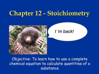 Chapter 12 - Stoichiometry

                         I ‘m back!




 Objective: To learn how to use a complete
chemical equation to calculate quantities of a
                 substance
 