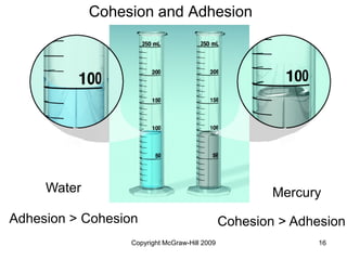 Copyright McGraw-Hill 2009 16
Cohesion and Adhesion
Water Mercury
Adhesion > Cohesion Cohesion > Adhesion
 