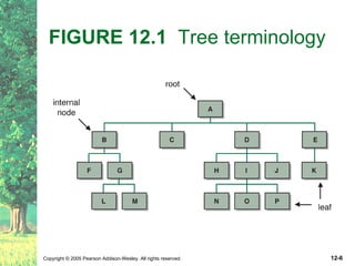 FIGURE 12.1   Tree terminology 