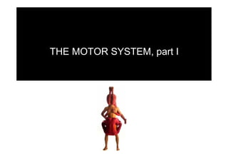 THE MOTOR SYSTEM, part I
 