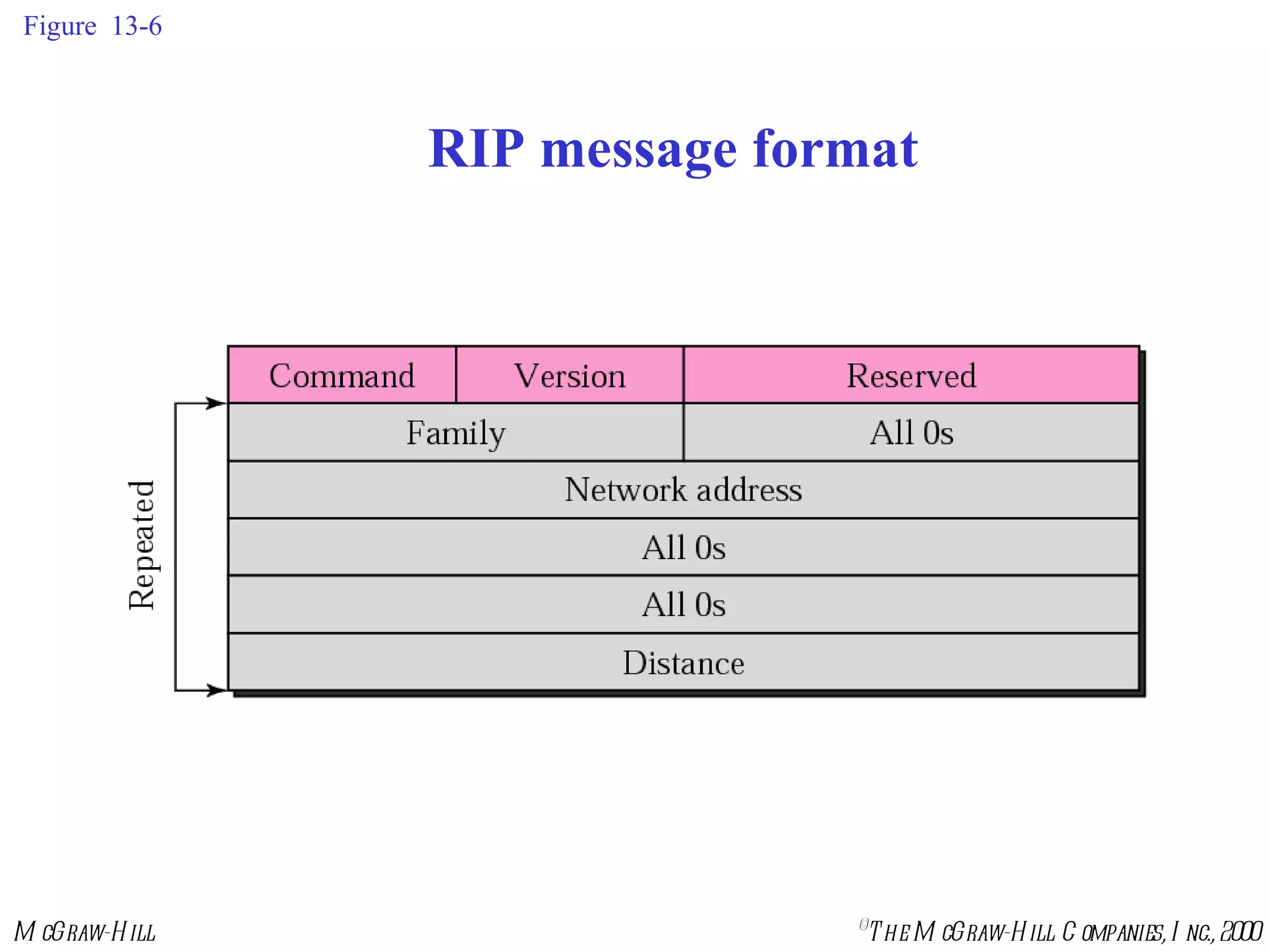 Figure  13-6 RIP message format 