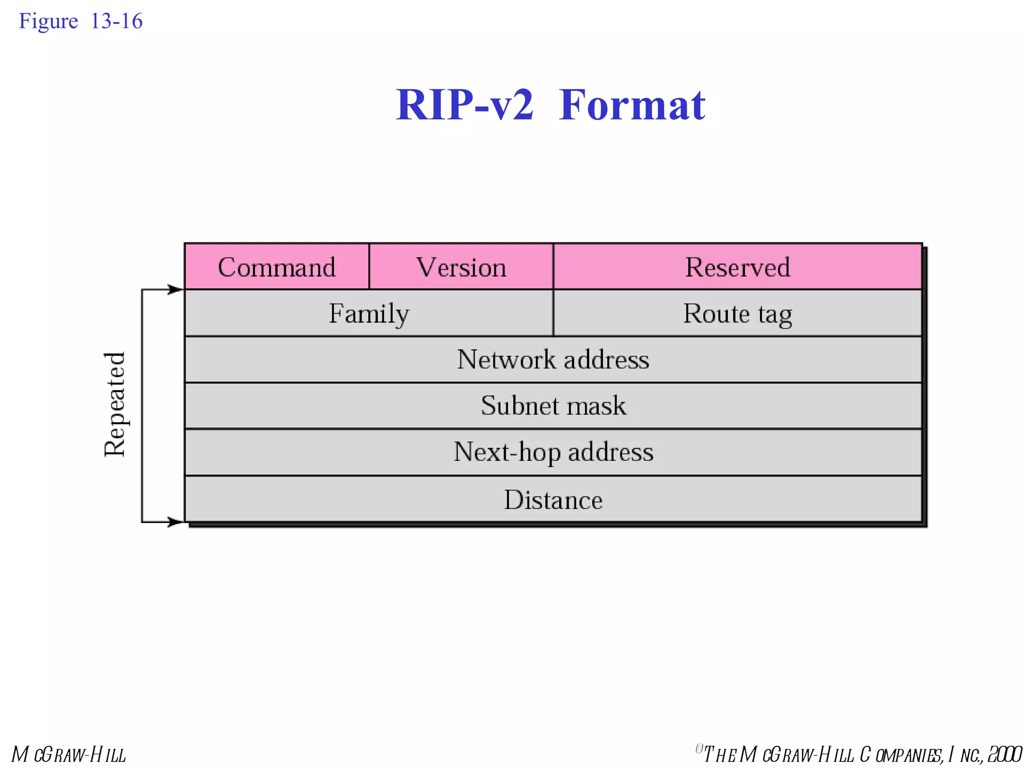 Figure  13-16 RIP-v2  Format 