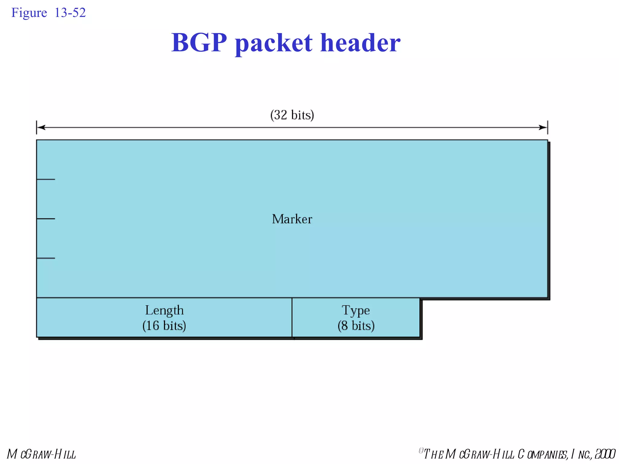 Figure  13-52 BGP packet header 