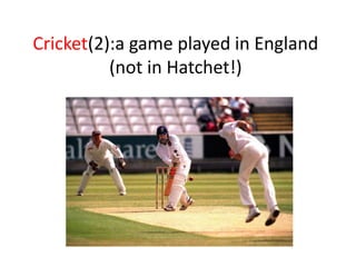Cricket(2):a game played in England (not in Hatchet!)