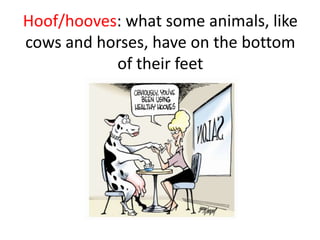 Hoof/hooves: what some animals, like cows and horses, have on the bottom of their feet