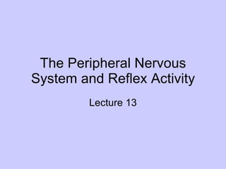The Peripheral Nervous System and Reflex Activity Lecture 13 