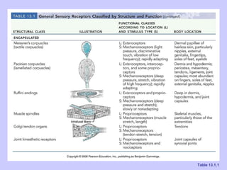Ch 13 the peripheral nervous system and nervous activity | PPT