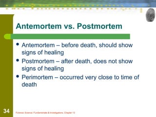 Forensic Anthropology: Understanding Human Bones in Investigations | PPT