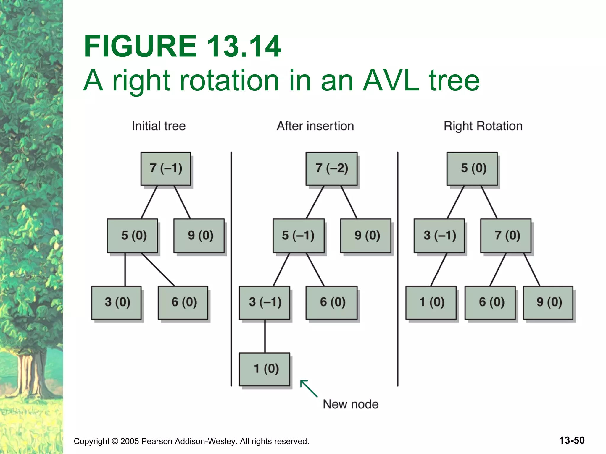 FIGURE 13.14 A right rotation in an AVL tree 