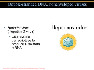 Hepadnavirus Reverse Transcriptase microbiology in pharmacy and its applications .ppt