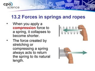 13.2 Forces in springs and ropes
• When you apply a
compression force to
a spring, it collapses to
become shorter.
• The force created by
stretching or
compressing a spring
always acts to return
the spring to its natural
length.
 