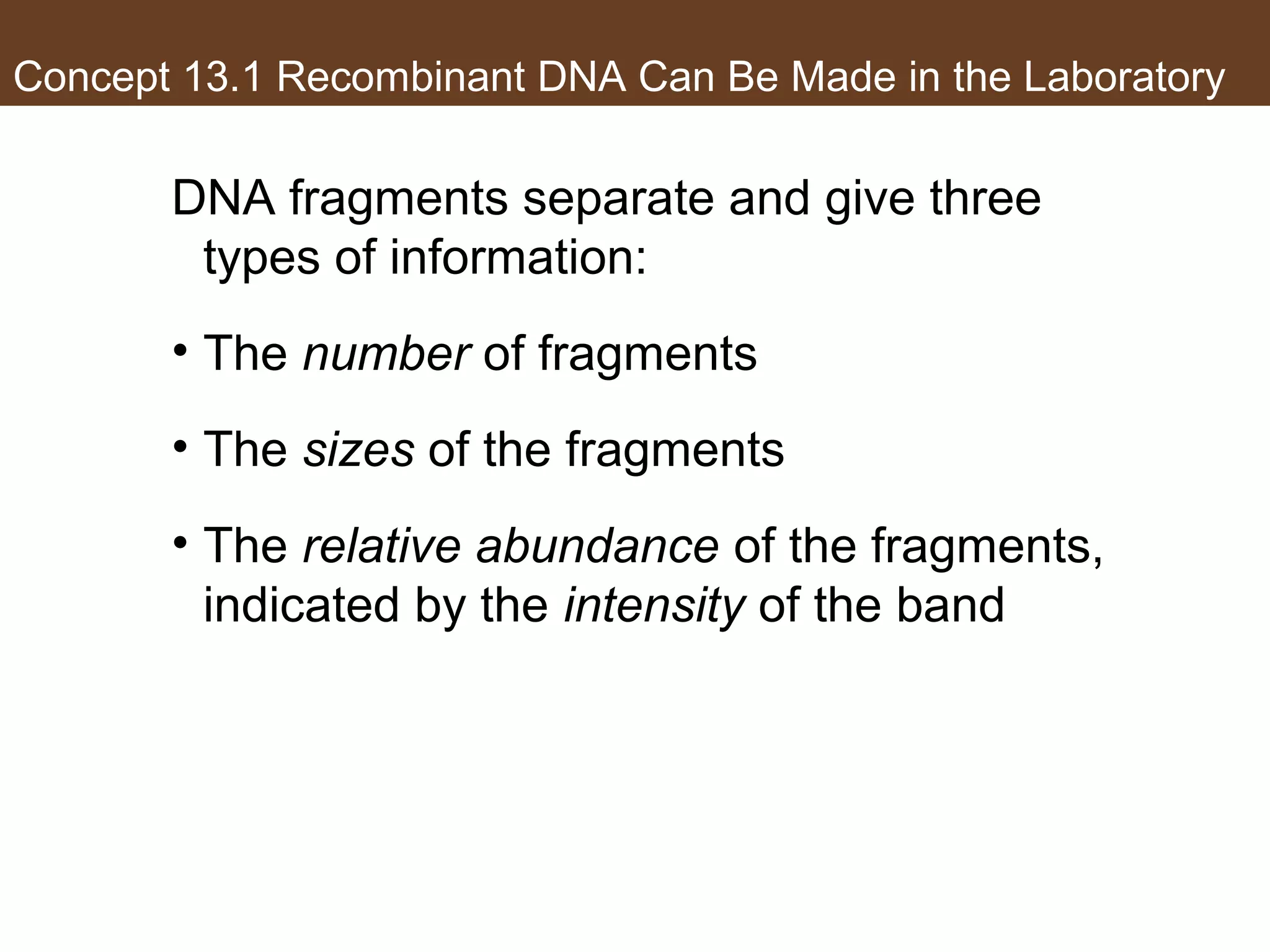 Concept 13.1 Recombinant DNA Can Be Made in the Laboratory
DNA fragments separate and give three
types of information:
• The number of fragments
• The sizes of the fragments
• The relative abundance of the fragments,
indicated by the intensity of the band
 