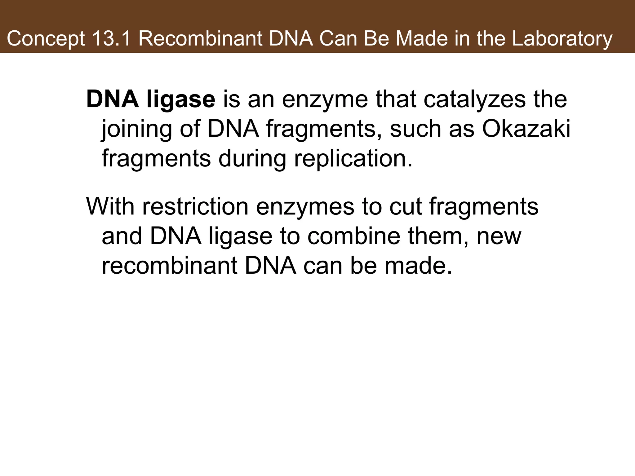 Concept 13.1 Recombinant DNA Can Be Made in the Laboratory
DNA ligase is an enzyme that catalyzes the
joining of DNA fragments, such as Okazaki
fragments during replication.
With restriction enzymes to cut fragments
and DNA ligase to combine them, new
recombinant DNA can be made.
 