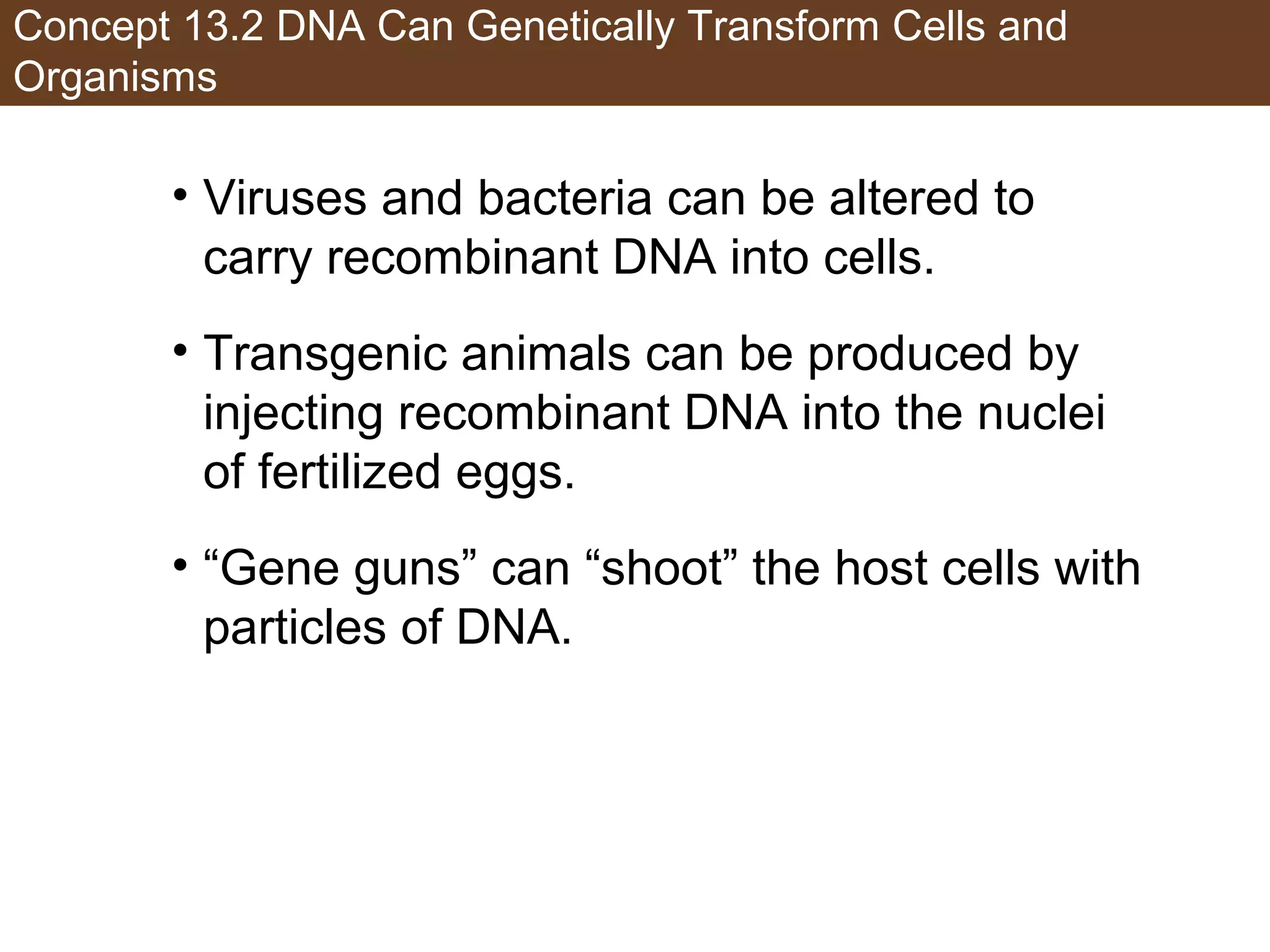 Concept 13.2 DNA Can Genetically Transform Cells and
Organisms
• Viruses and bacteria can be altered to
carry recombinant DNA into cells.
• Transgenic animals can be produced by
injecting recombinant DNA into the nuclei
of fertilized eggs.
• “Gene guns” can “shoot” the host cells with
particles of DNA.
 
