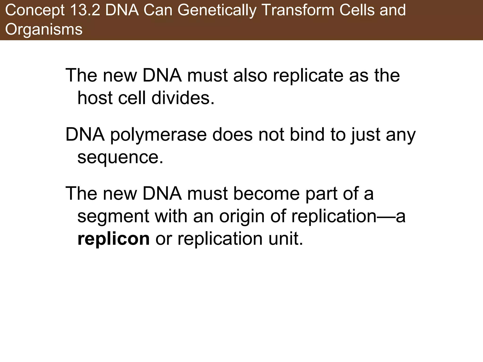 Concept 13.2 DNA Can Genetically Transform Cells and
Organisms
The new DNA must also replicate as the
host cell divides.
DNA polymerase does not bind to just any
sequence.
The new DNA must become part of a
segment with an origin of replication—a
replicon or replication unit.
 