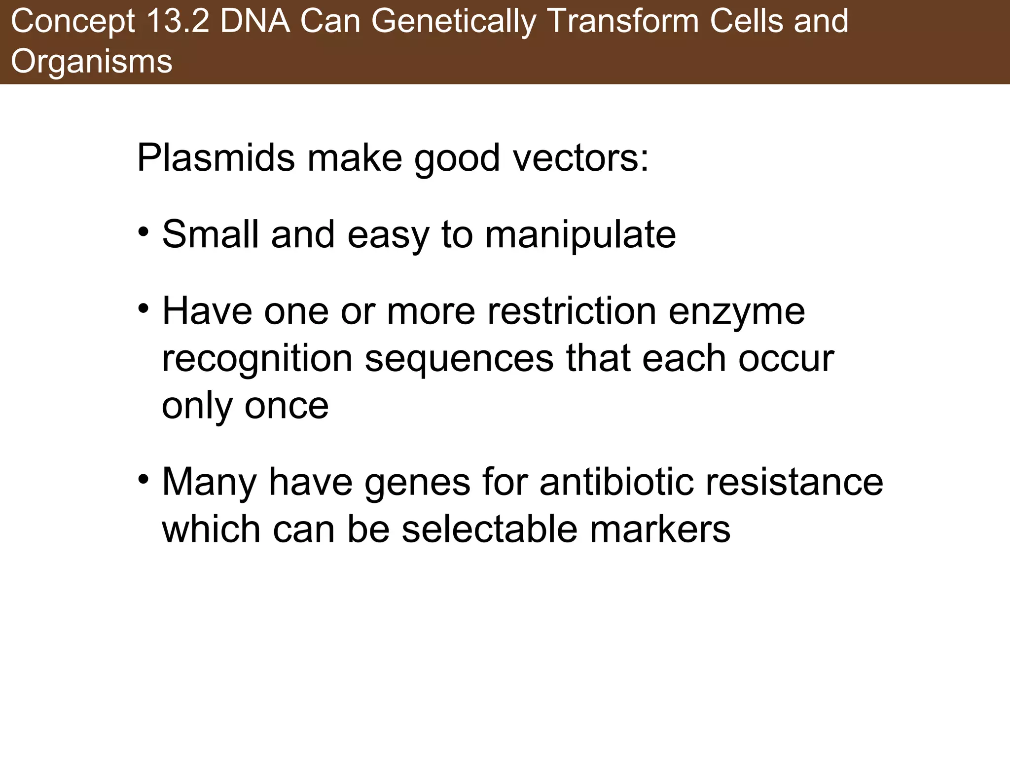 Concept 13.2 DNA Can Genetically Transform Cells and
Organisms
Plasmids make good vectors:
• Small and easy to manipulate
• Have one or more restriction enzyme
recognition sequences that each occur
only once
• Many have genes for antibiotic resistance
which can be selectable markers
 
