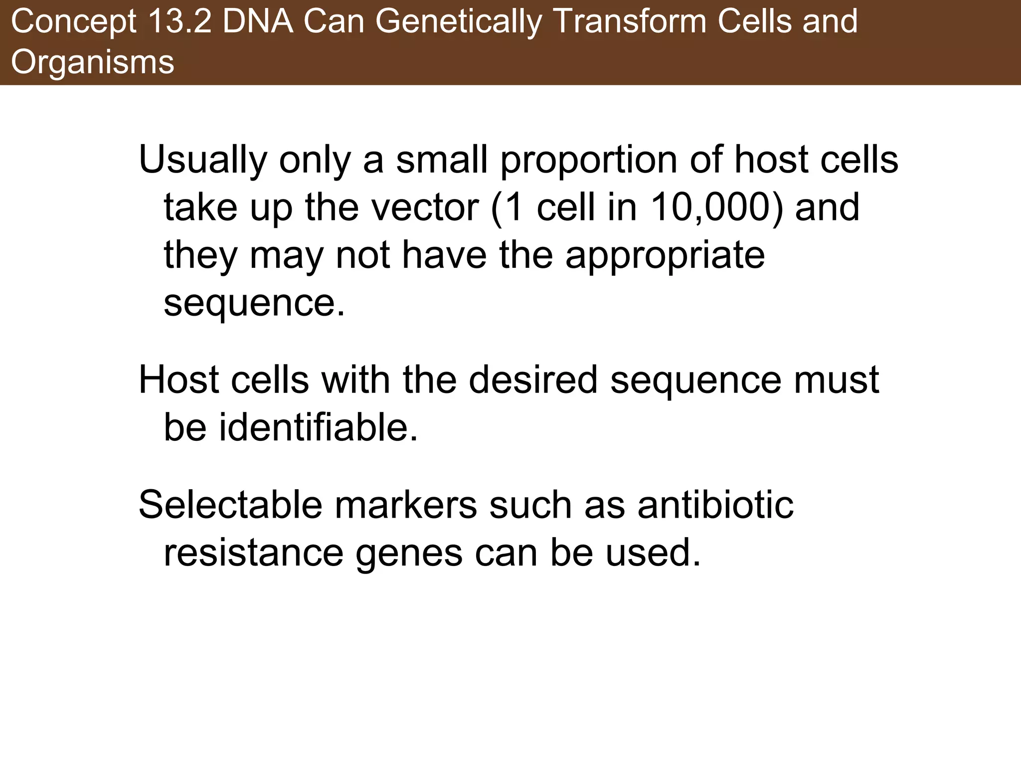 Concept 13.2 DNA Can Genetically Transform Cells and
Organisms
Usually only a small proportion of host cells
take up the vector (1 cell in 10,000) and
they may not have the appropriate
sequence.
Host cells with the desired sequence must
be identifiable.
Selectable markers such as antibiotic
resistance genes can be used.
 