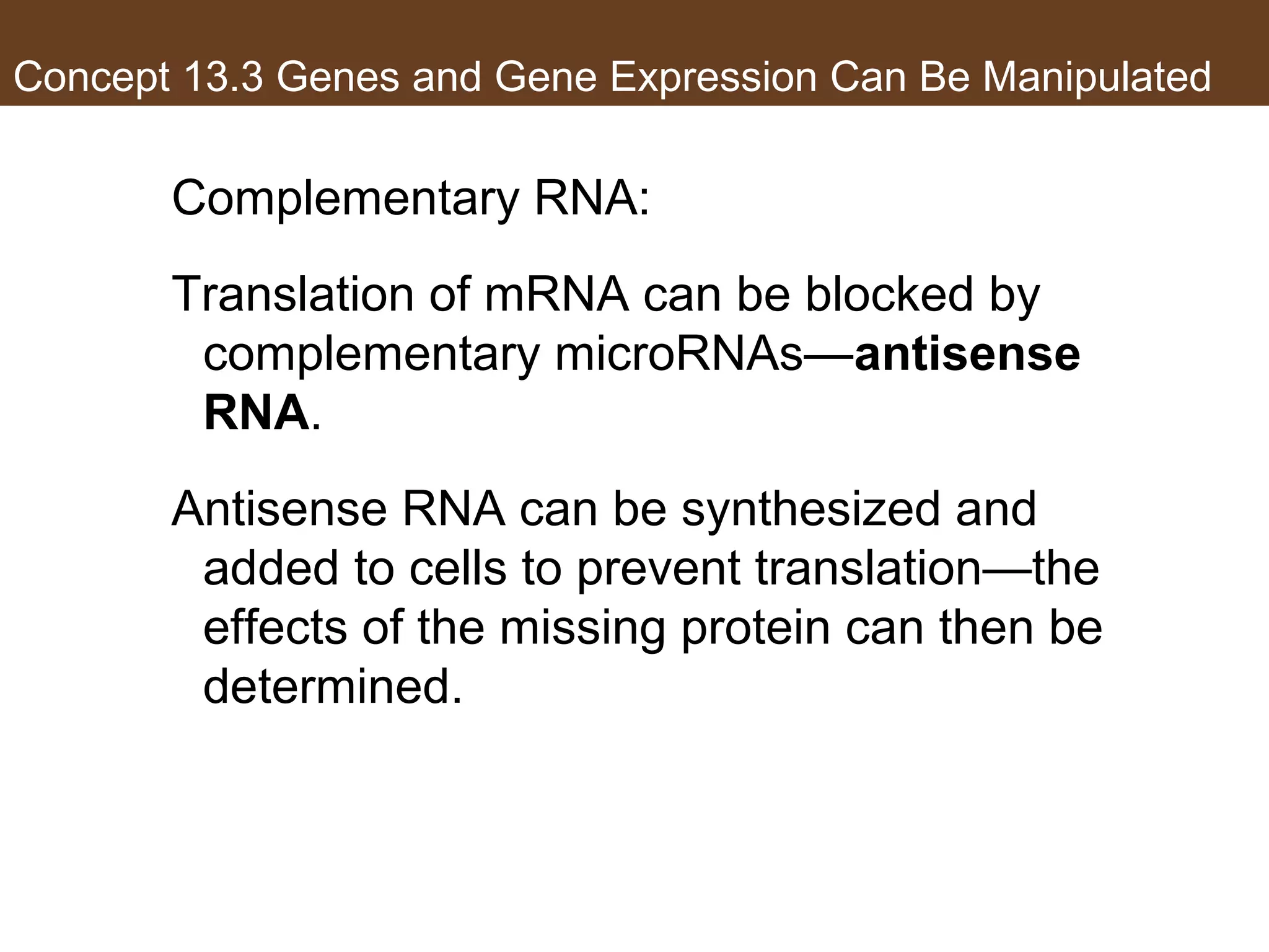 Concept 13.3 Genes and Gene Expression Can Be Manipulated
Complementary RNA:
Translation of mRNA can be blocked by
complementary microRNAs—antisense
RNA.
Antisense RNA can be synthesized and
added to cells to prevent translation—the
effects of the missing protein can then be
determined.
 