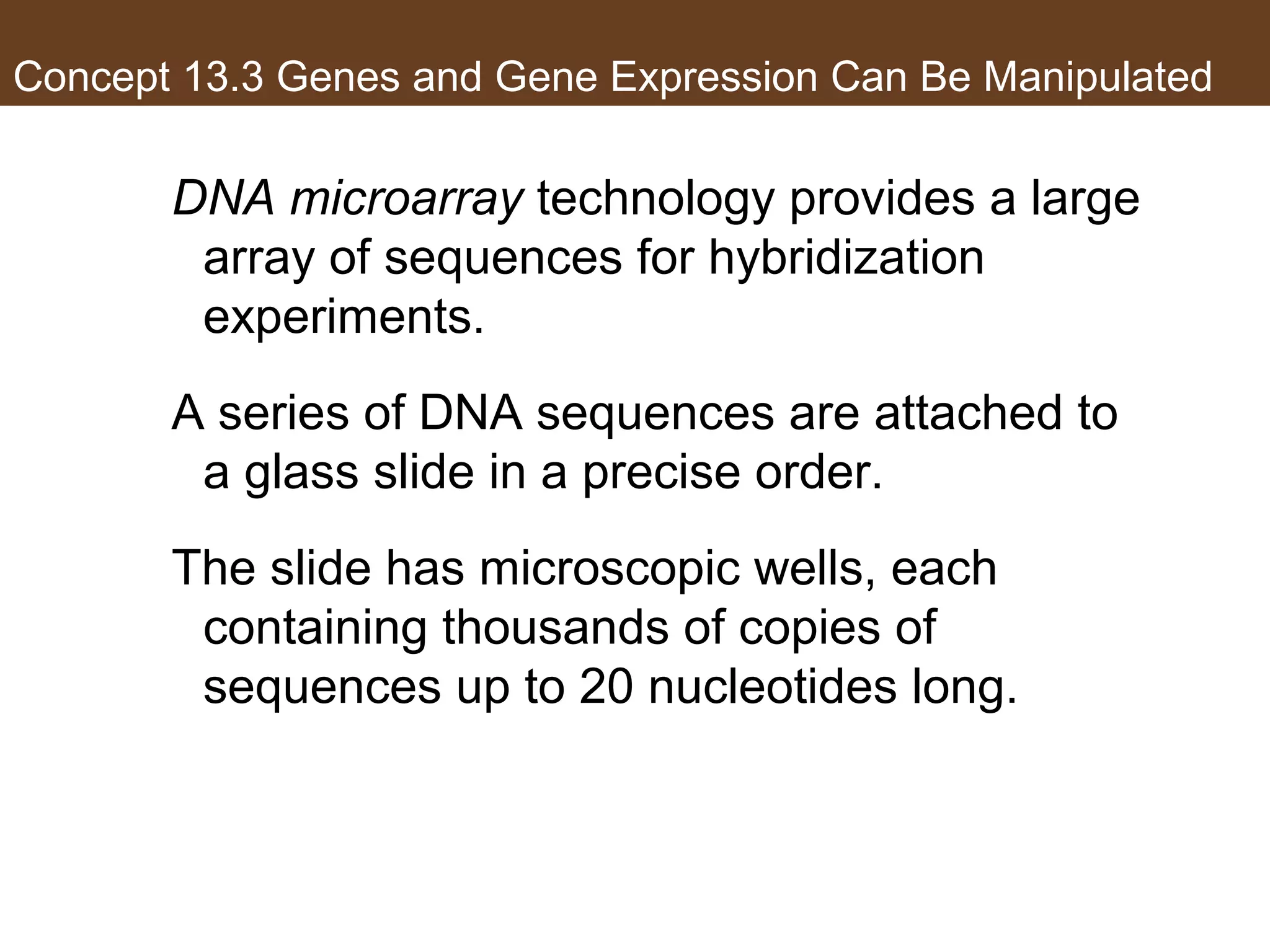 Concept 13.3 Genes and Gene Expression Can Be Manipulated
DNA microarray technology provides a large
array of sequences for hybridization
experiments.
A series of DNA sequences are attached to
a glass slide in a precise order.
The slide has microscopic wells, each
containing thousands of copies of
sequences up to 20 nucleotides long.
 