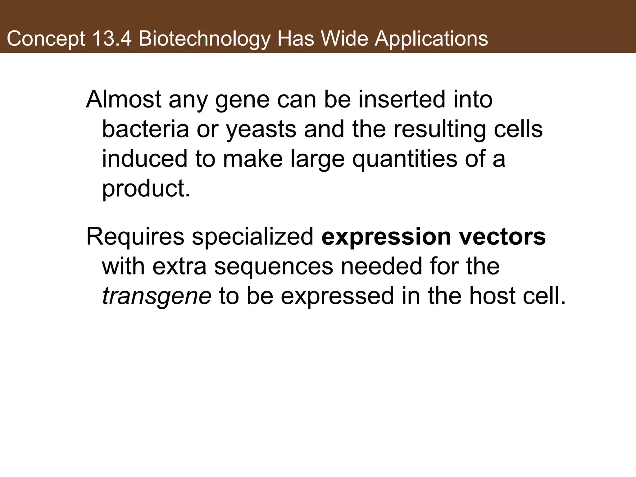 Concept 13.4 Biotechnology Has Wide Applications
Almost any gene can be inserted into
bacteria or yeasts and the resulting cells
induced to make large quantities of a
product.
Requires specialized expression vectors
with extra sequences needed for the
transgene to be expressed in the host cell.
 