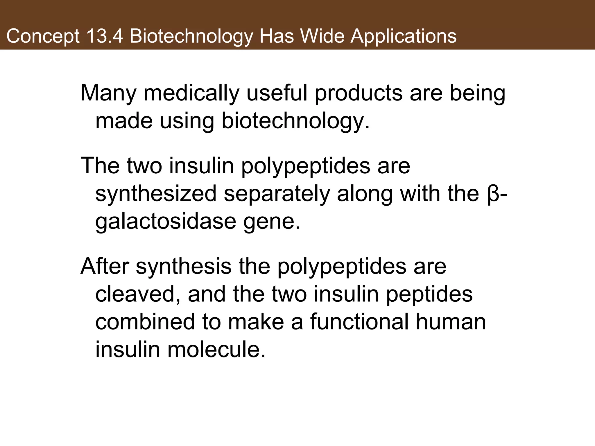 Concept 13.4 Biotechnology Has Wide Applications
Many medically useful products are being
made using biotechnology.
The two insulin polypeptides are
synthesized separately along with the β-
galactosidase gene.
After synthesis the polypeptides are
cleaved, and the two insulin peptides
combined to make a functional human
insulin molecule.
 