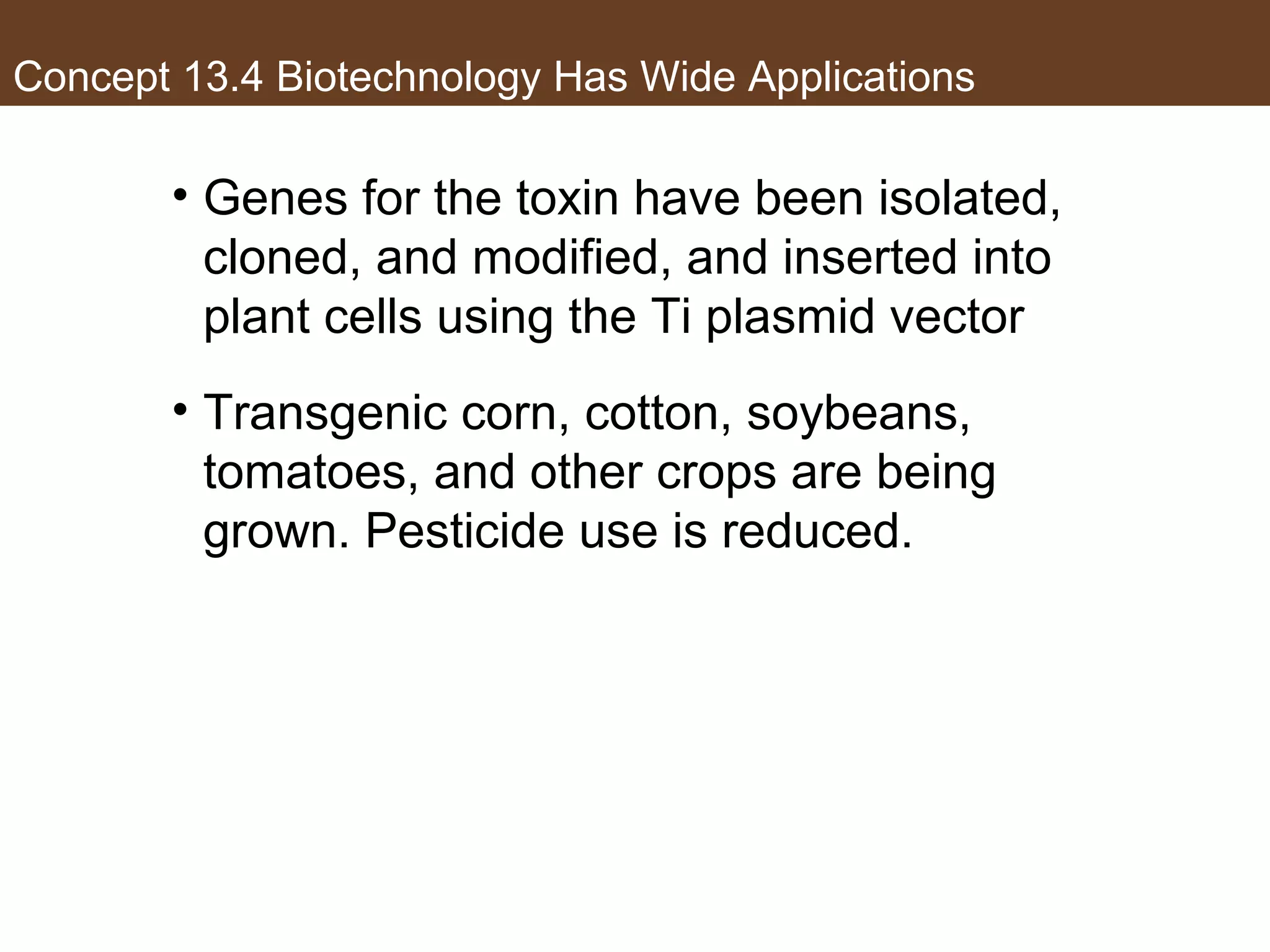 Concept 13.4 Biotechnology Has Wide Applications
• Genes for the toxin have been isolated,
cloned, and modified, and inserted into
plant cells using the Ti plasmid vector
• Transgenic corn, cotton, soybeans,
tomatoes, and other crops are being
grown. Pesticide use is reduced.
 
