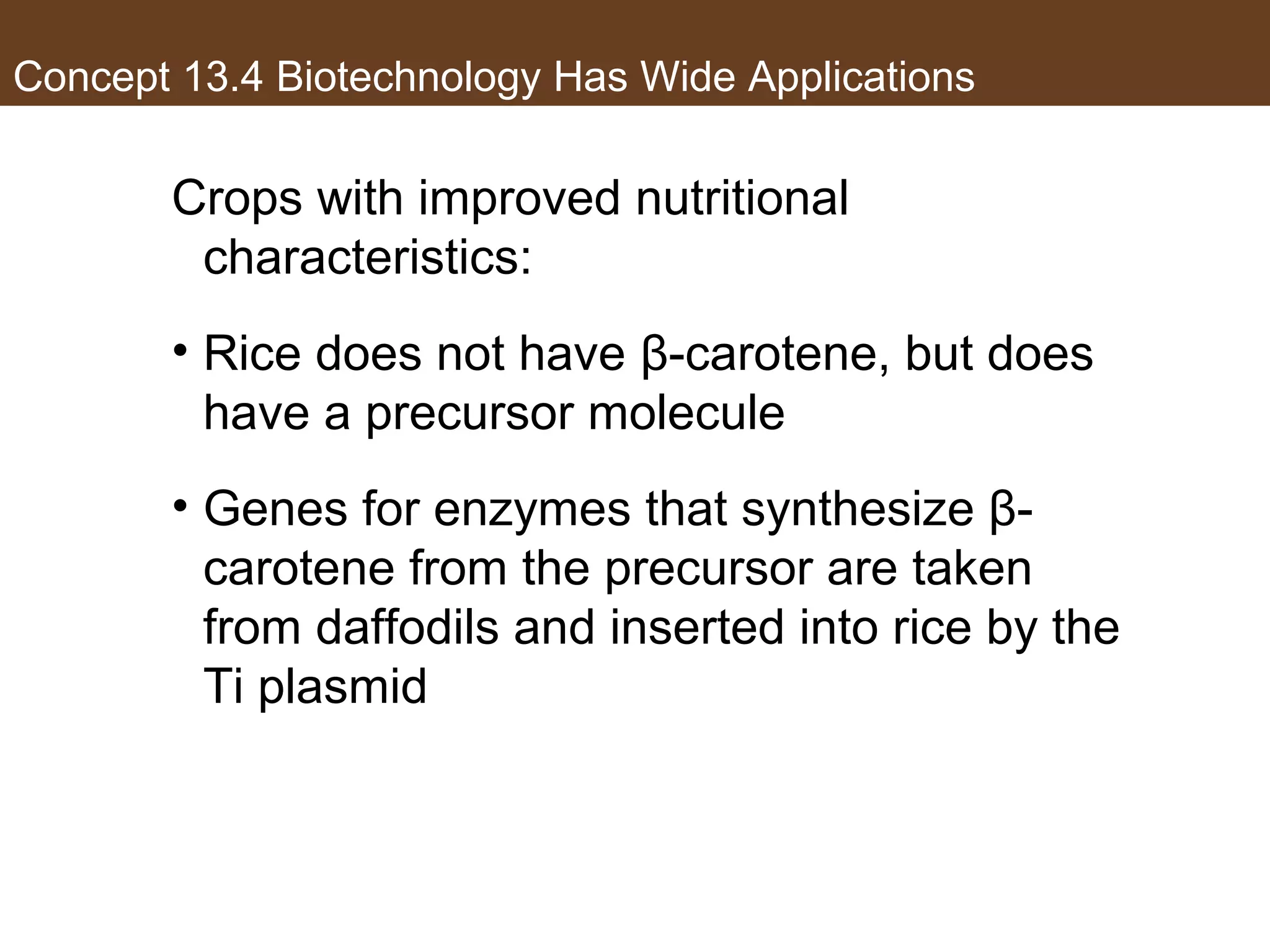 Concept 13.4 Biotechnology Has Wide Applications
Crops with improved nutritional
characteristics:
• Rice does not have β-carotene, but does
have a precursor molecule
• Genes for enzymes that synthesize β-
carotene from the precursor are taken
from daffodils and inserted into rice by the
Ti plasmid
 