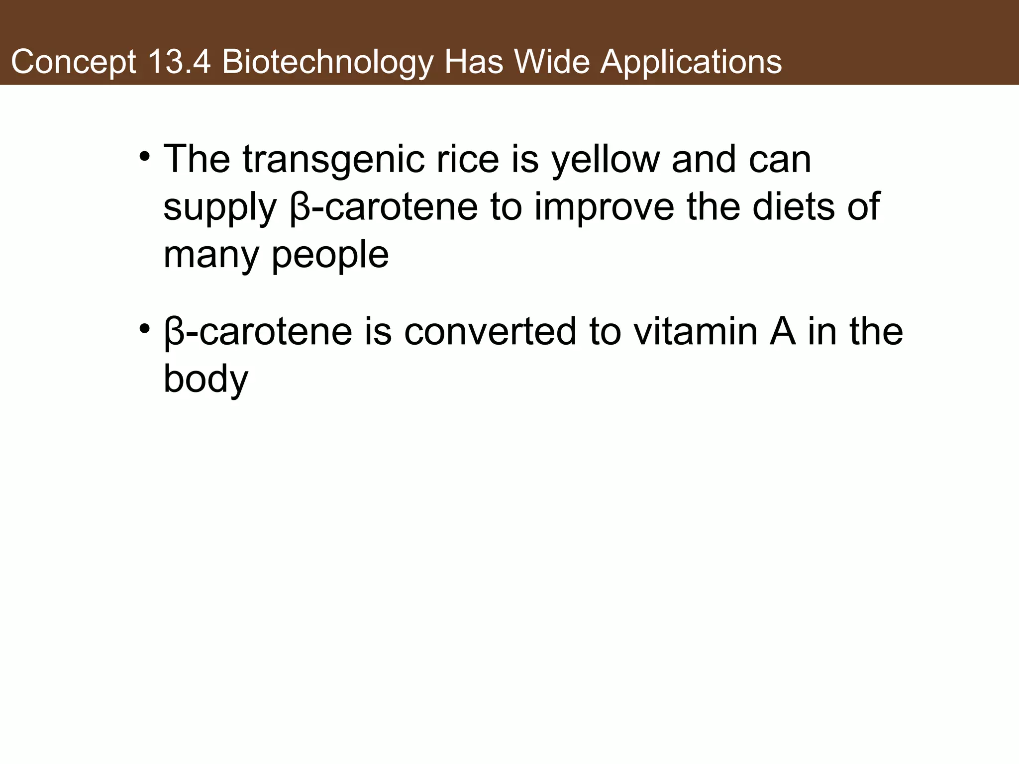 Concept 13.4 Biotechnology Has Wide Applications
• The transgenic rice is yellow and can
supply β-carotene to improve the diets of
many people
• β-carotene is converted to vitamin A in the
body
 
