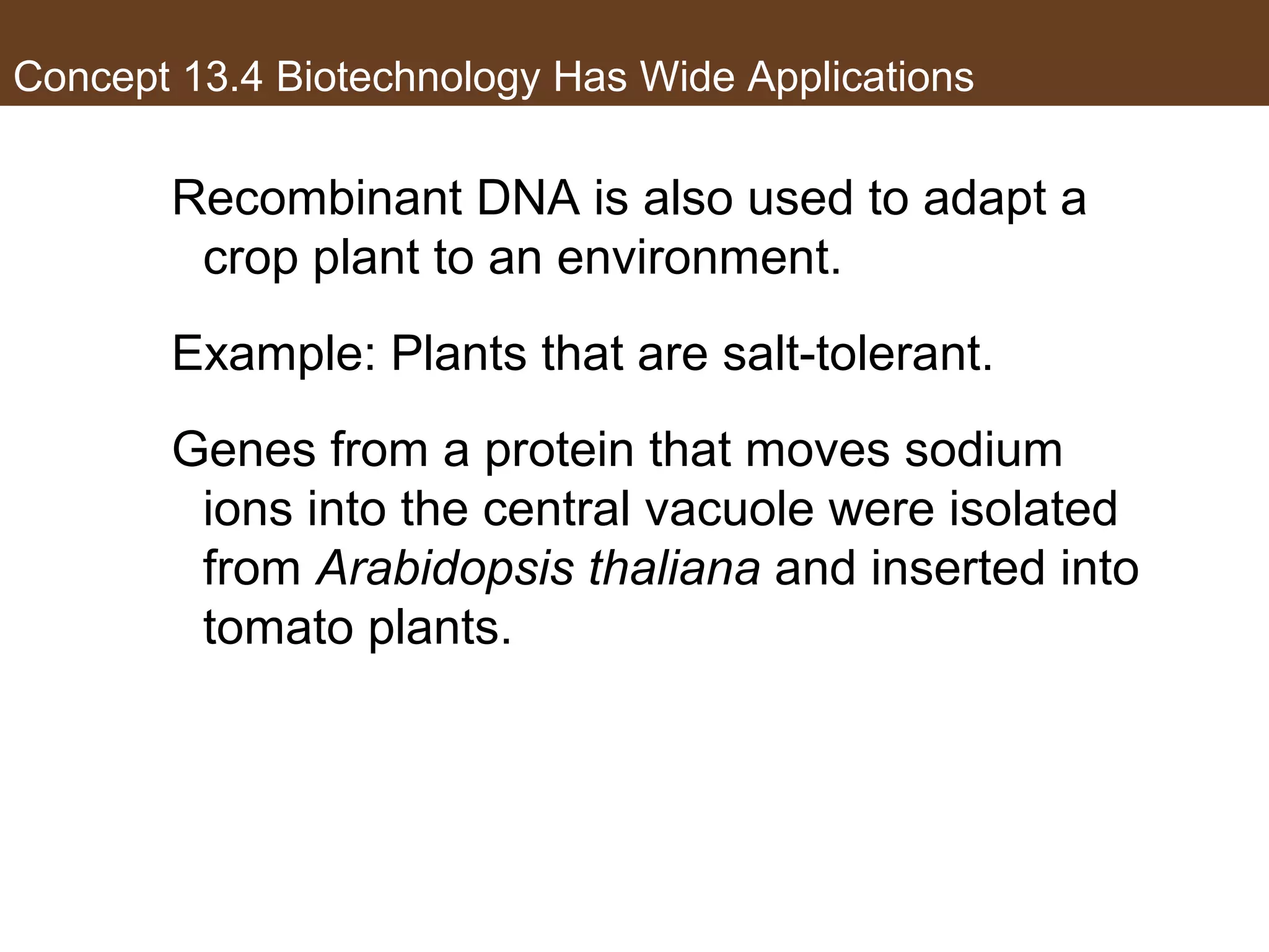 Concept 13.4 Biotechnology Has Wide Applications
Recombinant DNA is also used to adapt a
crop plant to an environment.
Example: Plants that are salt-tolerant.
Genes from a protein that moves sodium
ions into the central vacuole were isolated
from Arabidopsis thaliana and inserted into
tomato plants.
 