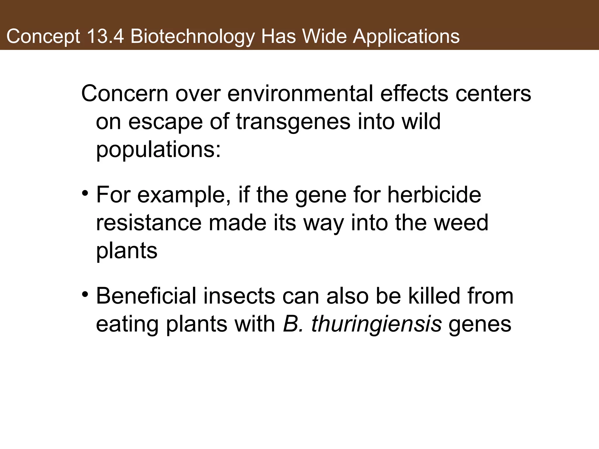 Concept 13.4 Biotechnology Has Wide Applications
Concern over environmental effects centers
on escape of transgenes into wild
populations:
• For example, if the gene for herbicide
resistance made its way into the weed
plants
• Beneficial insects can also be killed from
eating plants with B. thuringiensis genes
 