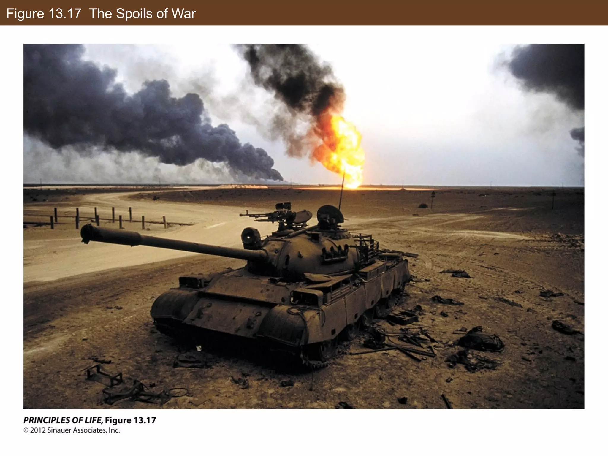 Figure 13.17 The Spoils of War
 