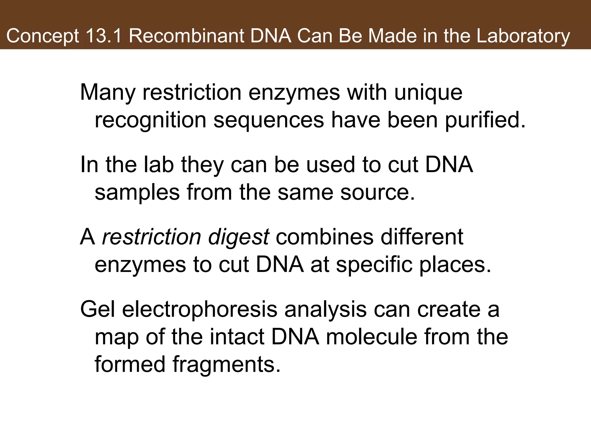 Concept 13.1 Recombinant DNA Can Be Made in the Laboratory
Many restriction enzymes with unique
recognition sequences have been purified.
In the lab they can be used to cut DNA
samples from the same source.
A restriction digest combines different
enzymes to cut DNA at specific places.
Gel electrophoresis analysis can create a
map of the intact DNA molecule from the
formed fragments.
 