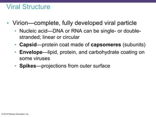 © 2016 Pearson Education, Inc.
Viral Structure
• Virion—complete, fully developed viral particle
• Nucleic acid—DNA or RNA can be single- or double-
stranded; linear or circular
• Capsid—protein coat made of capsomeres (subunits)
• Envelope—lipid, protein, and carbohydrate coating on
some viruses
• Spikes—projections from outer surface
 