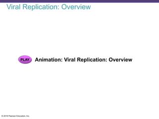 © 2016 Pearson Education, Inc.
PLAY Animation: Viral Replication: Overview
Viral Replication: Overview
 