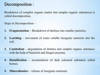 Ch 13 organism and population || Class 12 || | PPTX
