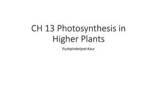 CH 13 Photosynthesis in
Higher Plants
Pushpinderjeet Kaur
 