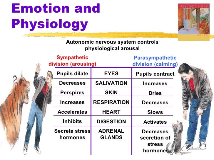 Ch13 Ppt ch13-ppt