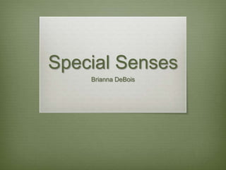 Special Senses
    Brianna DeBois
 